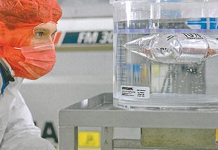 foto_Feneberg3 foto3_Feneberg.jpg