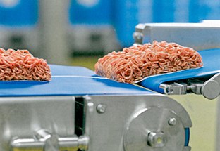 foto_Feneberg4 foto4_Feneberg.jpg