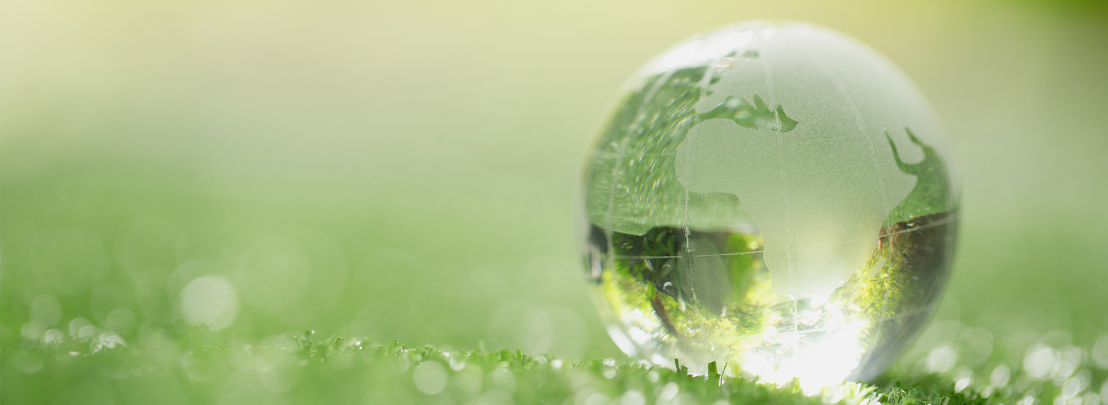 Сокращение упаковочных материалов